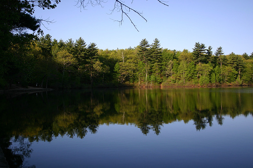 Walden Pond